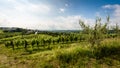 View of famous wine region Goriska Brda hills in Slovenia Royalty Free Stock Photo